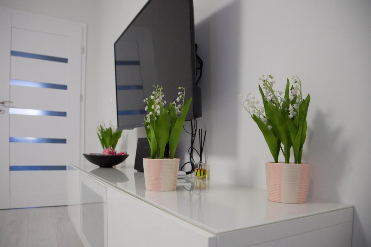 Apartament Wroclaw Borowska Eksteriør billede